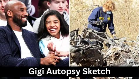 gigi autopsy sketch|Gigi Autopsy Sketch: What the Evidence Reveals。